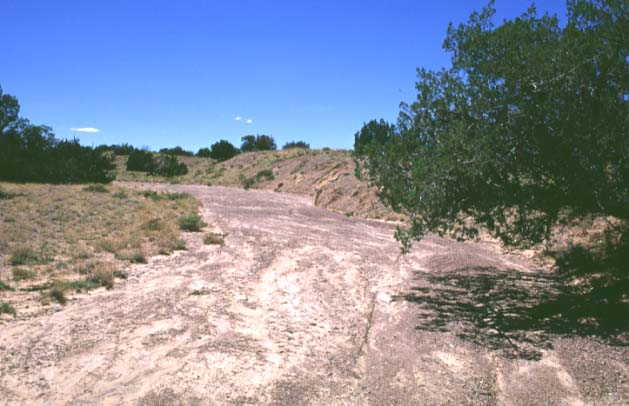 A dry arroyo showing signs of recent flow near 35N-107W