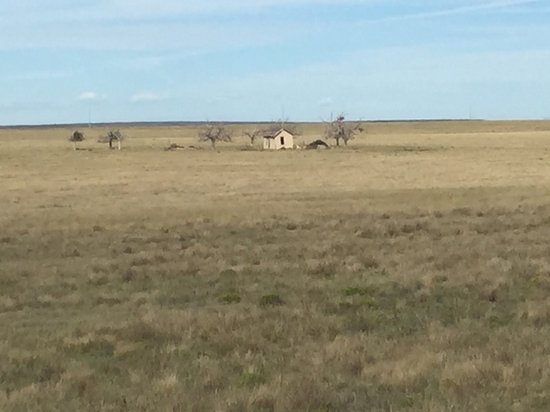 View of abandoned prairie house, looking west, about 1 km west of confluence.