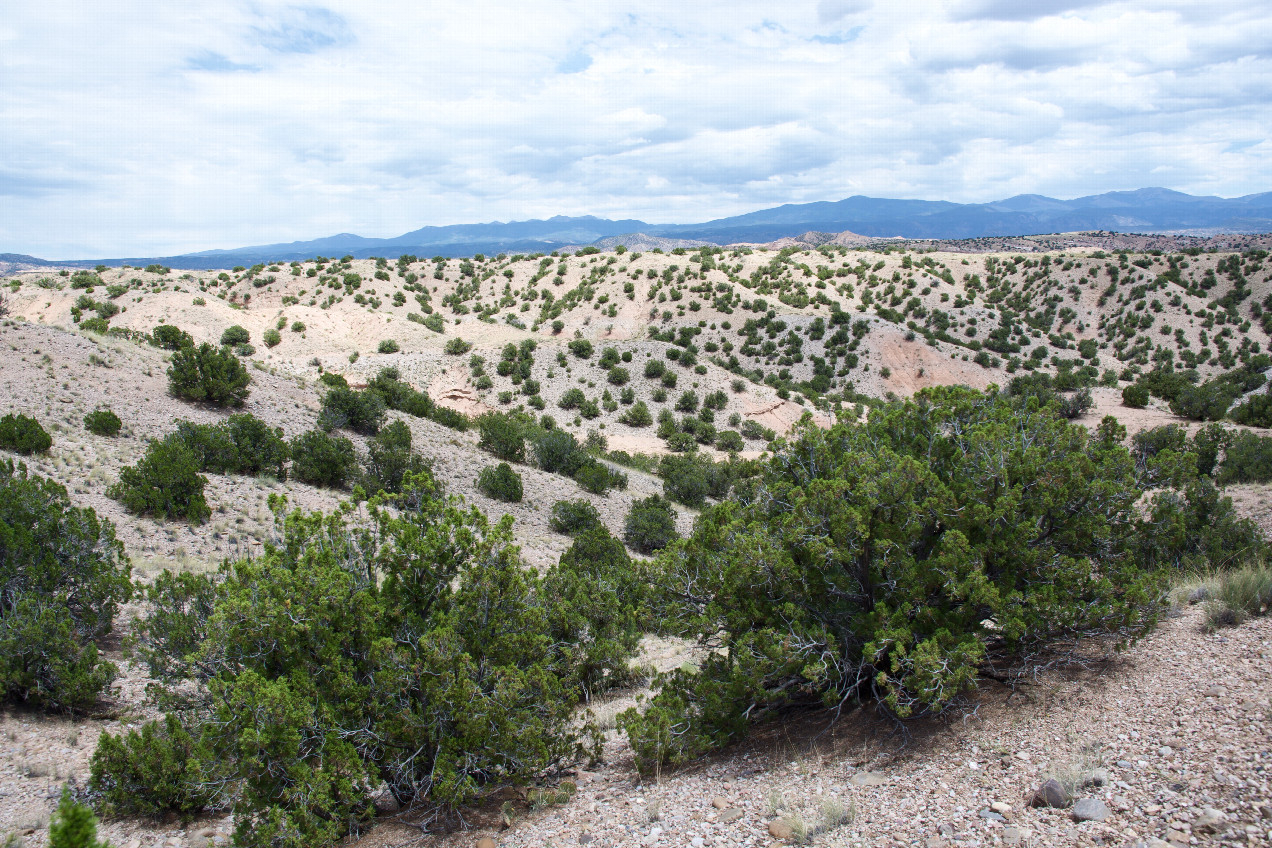 The confluence point lies in ‘badlands’ just North of La Puebla.  (This is also a view to the East.)