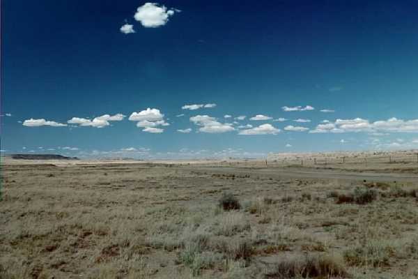This plateau of shortgrass stretches north until the plateau is dissected by Chaco Canyon