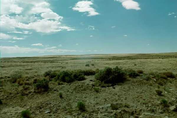 Looking west, this prairie was the home of thriving cattle and jackrabbits.