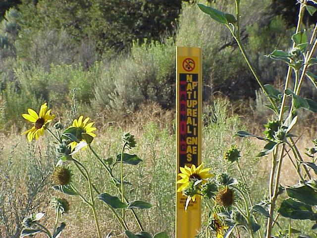 Sign of the area:  Gas Pipeline, about 400 meters southeast of the confluence.