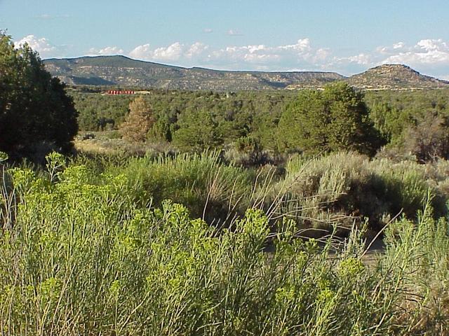 View to the northeast from the state line, 100 meters southeast of the confluence.