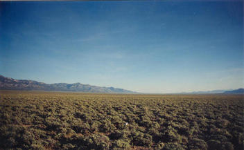 #1: Looking south with the Egan Range on the left and the White Pine Range on the right.