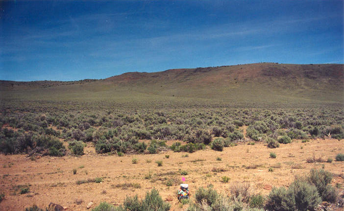 T. McGee Bear facing west at the point with the Pancake Range foothills in the background.