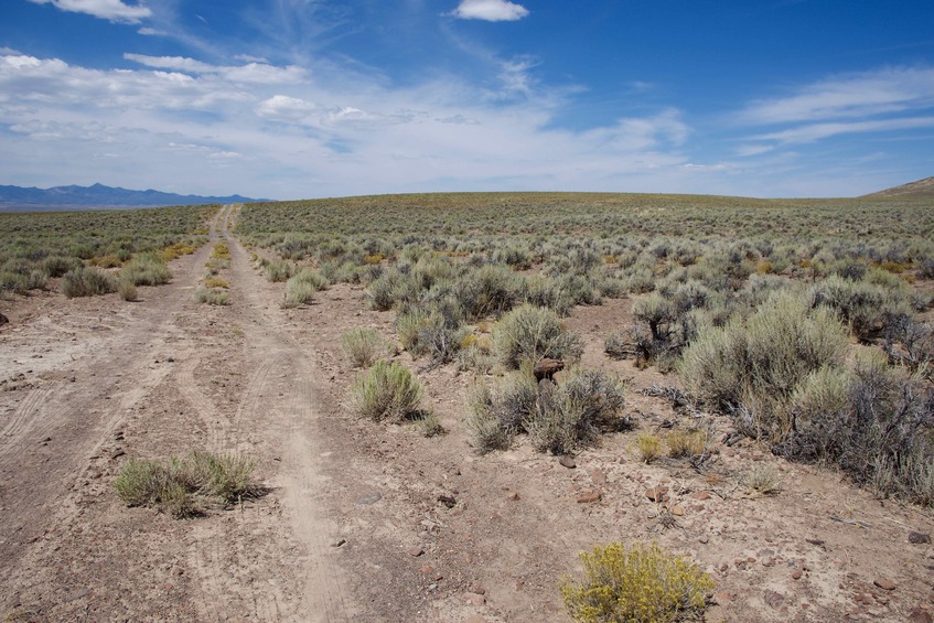 The confluence point lies in a remote desert region, on the edge of this dirt road.  (This is also a view to the North.)