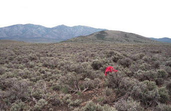#1: view southeast towards Red Butte