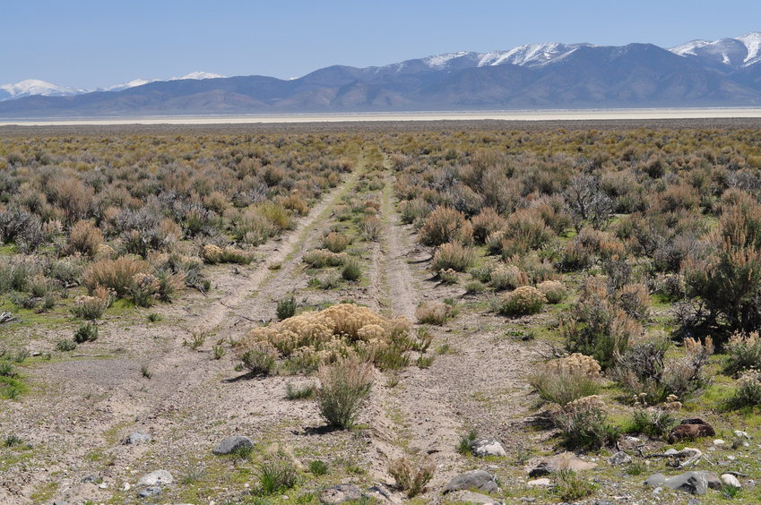 The access road to the lake bed