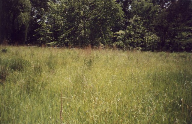A field