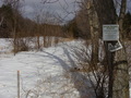 #8: A snowy road runs along the eastern side of the Marshall DesRoches pond at 43N 74W.