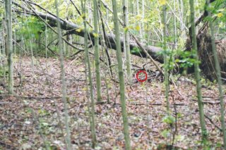 #1: The red circle shows the confluence in front of a fallen tree.