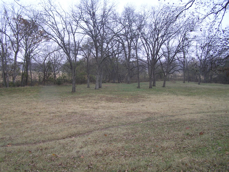 Confluence of 34 North 96 West, in center of photograph in the grassy field, looking northeast.