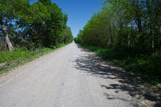 #1: The confluence point lies directly on this gravel rural road.  (This is also a view to the East, along the road.)