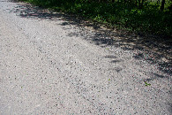 #5: Ground cover (a gravel road) at the confluence point