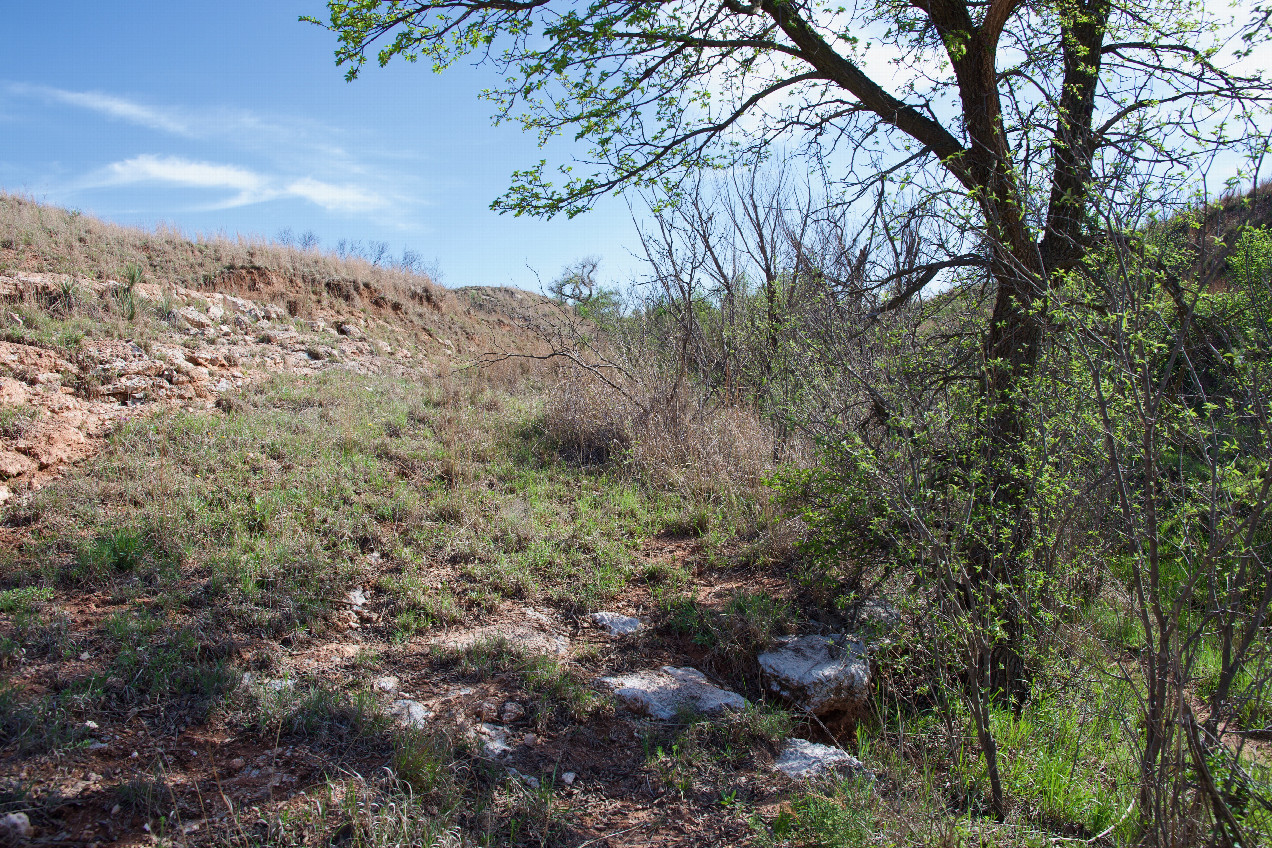 The confluence point lies in a small ravine, next to a creek.  (This is also a view to the South, along the Oklahoma-Texas state line.)