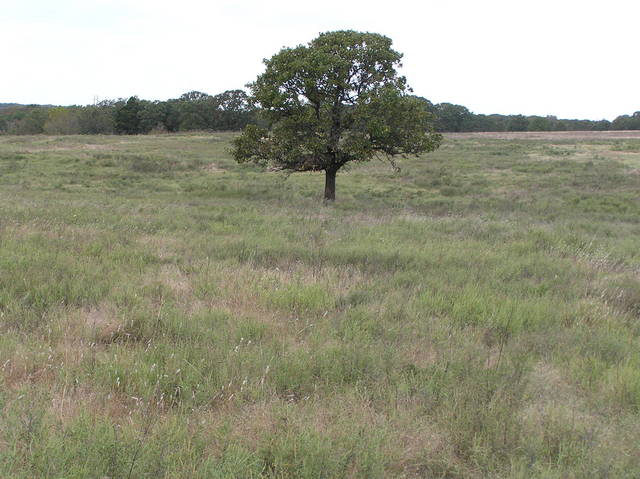 Site of 36 North 97 West, looking northwest.