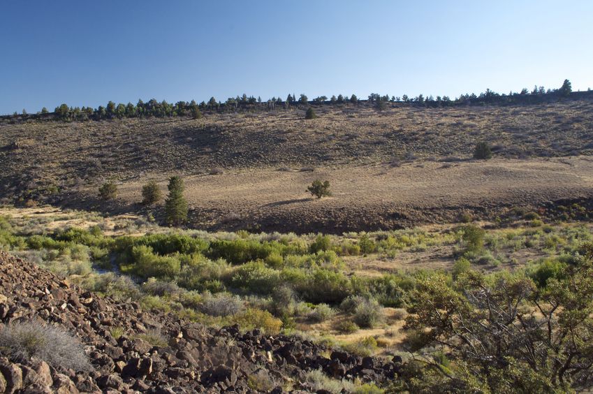 View South (across a creek, to a rocky ridge that forms the border with Nevada (left) and California (right))