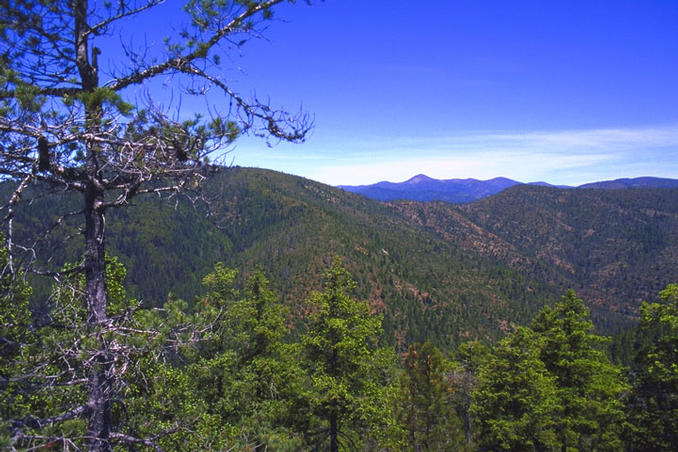 View north accross the Cedar Creek valley with Packsaddle Mtn. in the back.