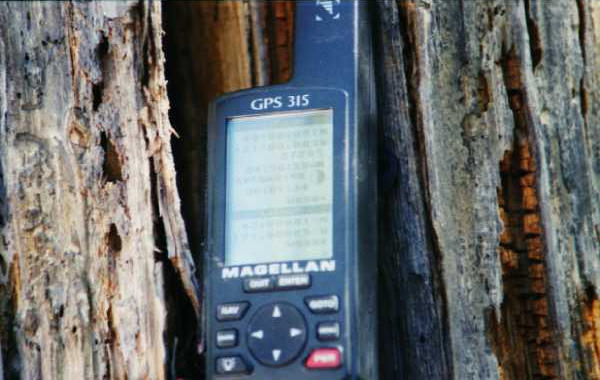 GPS on Location. Glare on screen. GPS is hanging from the snag at site.