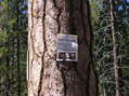 #7: A National Park boundary sign nearby