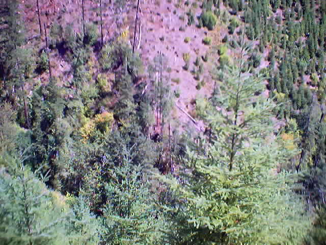 Looking Down into the Gulch from just above the Confluence