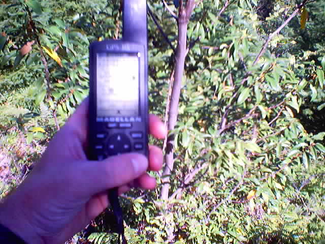 GPS reading 43 00.000 N, 123 00.001 W