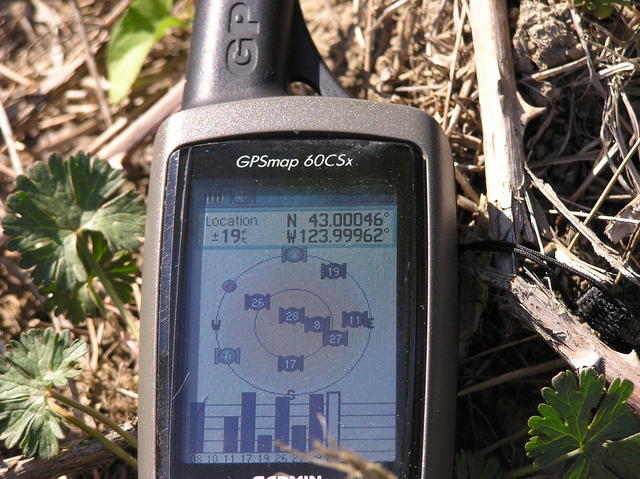 My GPS, 189 feet from the confluence point