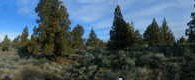 #3: Panoramic view from the confluence point (thumbnail is a partial view).