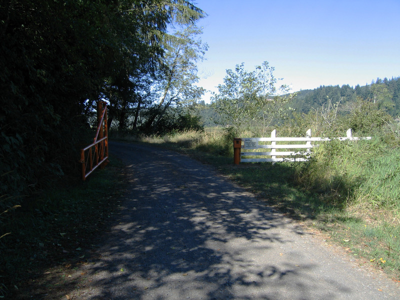 Gate prior to confluence