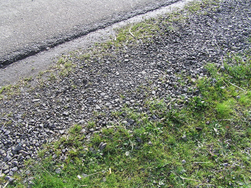 Pavement and grasses:  Groundcover at the confluence point.