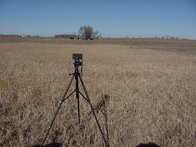 Camera tripod@ 44N-98W Looking North with cattle in the distance.