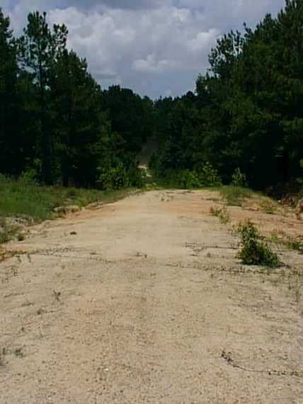 The dirt road off of Hwy 96 just north of Jasper, Texas