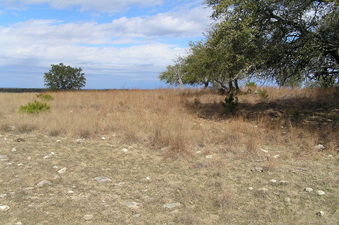 #1: Site of 31 North 98 West, looking north up the ridge, Texas Hill Country USA!