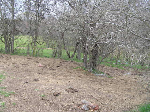 View to the east, showing the confluence near the east edge of the field.