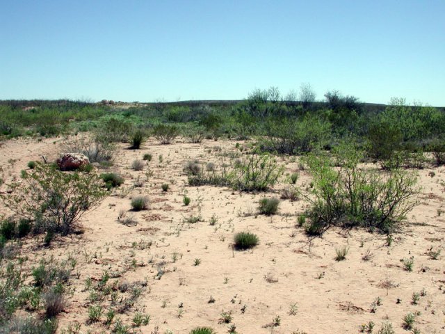 East towards the Pecos River