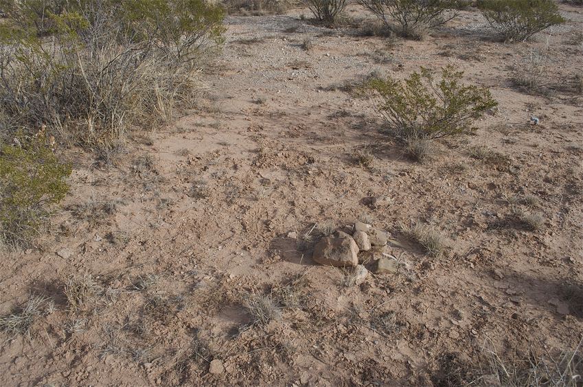 The confluence point (marked by Bob Reneau's rock cairn from 2001) lies within scrubby desert vegetation