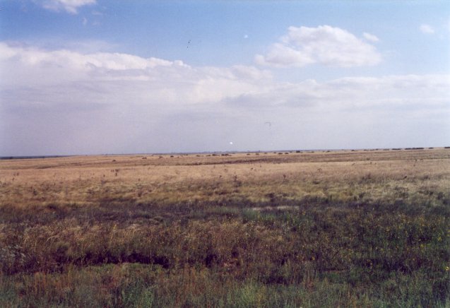 Plains SW from N33 W102.