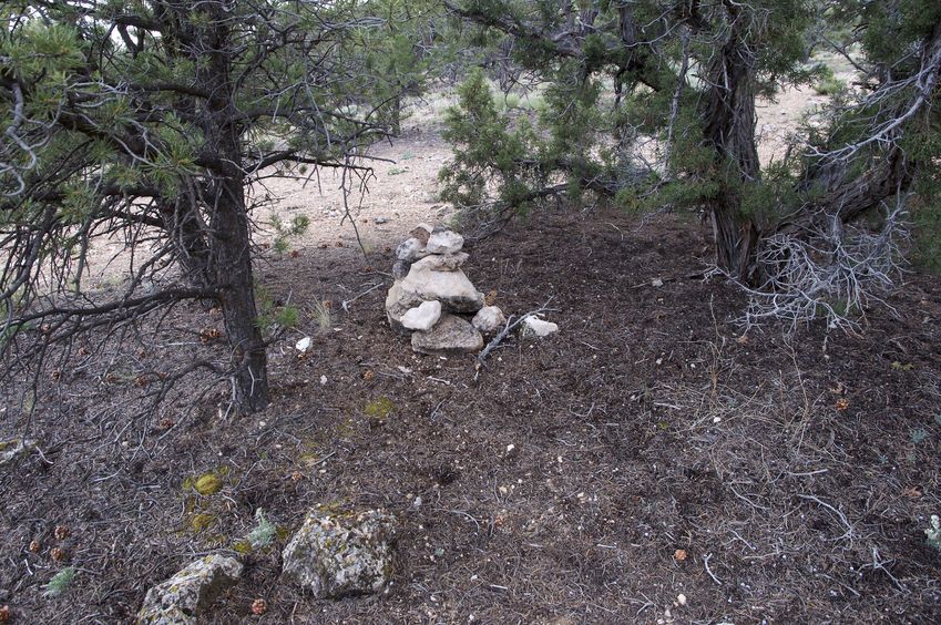 The confluence point lies on top of a small ridge, surrounded by sagebrush, and marked by a rock cairn