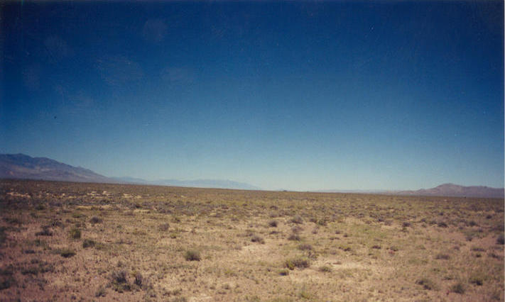 Looking south with the Burbank Hills on the left and the Snake Range on the right.