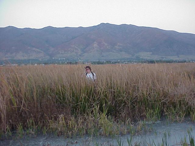 Shannon White traversing the salt marsh.