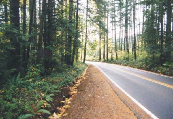 Looking south on Delphi Road.