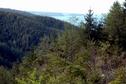 #10: Looking at Sequim Bay from a vista point 450 meters from the CP