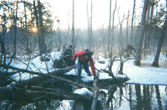 I make my return west across our favorite fallen-log crossing spanning Cedar Creek.