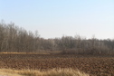 #3: View from the north, looking toward the marsh to the southeast where the confluence lies.
