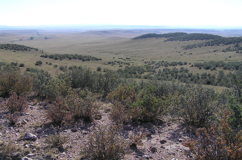 View to the east from 3 meters to the east of the confluence, standing on the rock shelf.