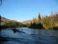 #9: From Camp 3 looking upstream towards confluence (7 miles)