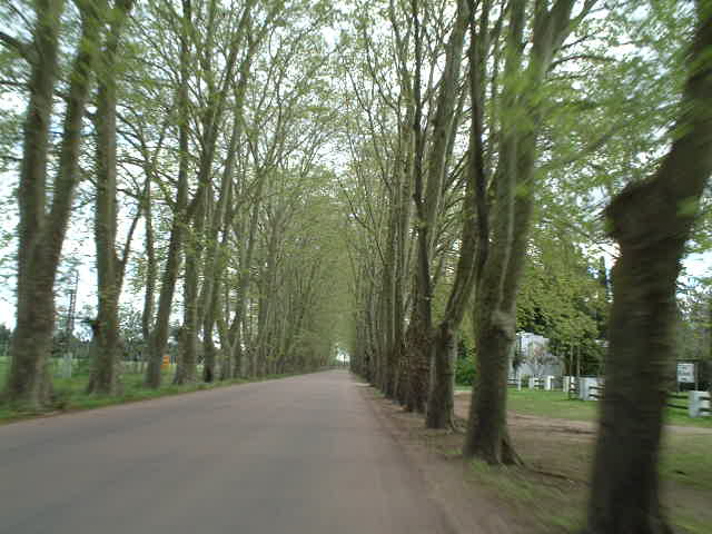 Initially the road was an Avenue