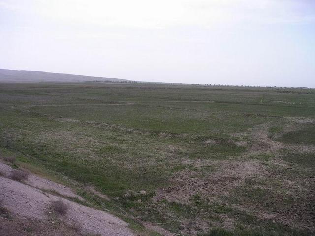 General view