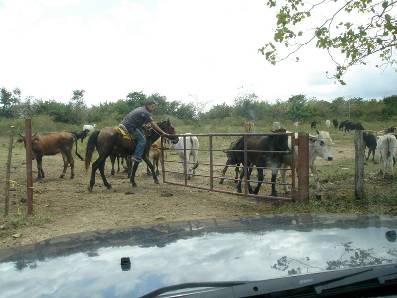 THE GUY IN CHARGE OPENS ONE OF THE  GATES TO ACCESS THE RANCH
