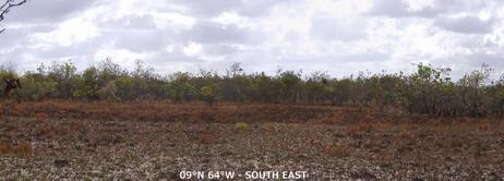 #1: CP ~150 m to the SOUTH EAST, across the burnt clearing